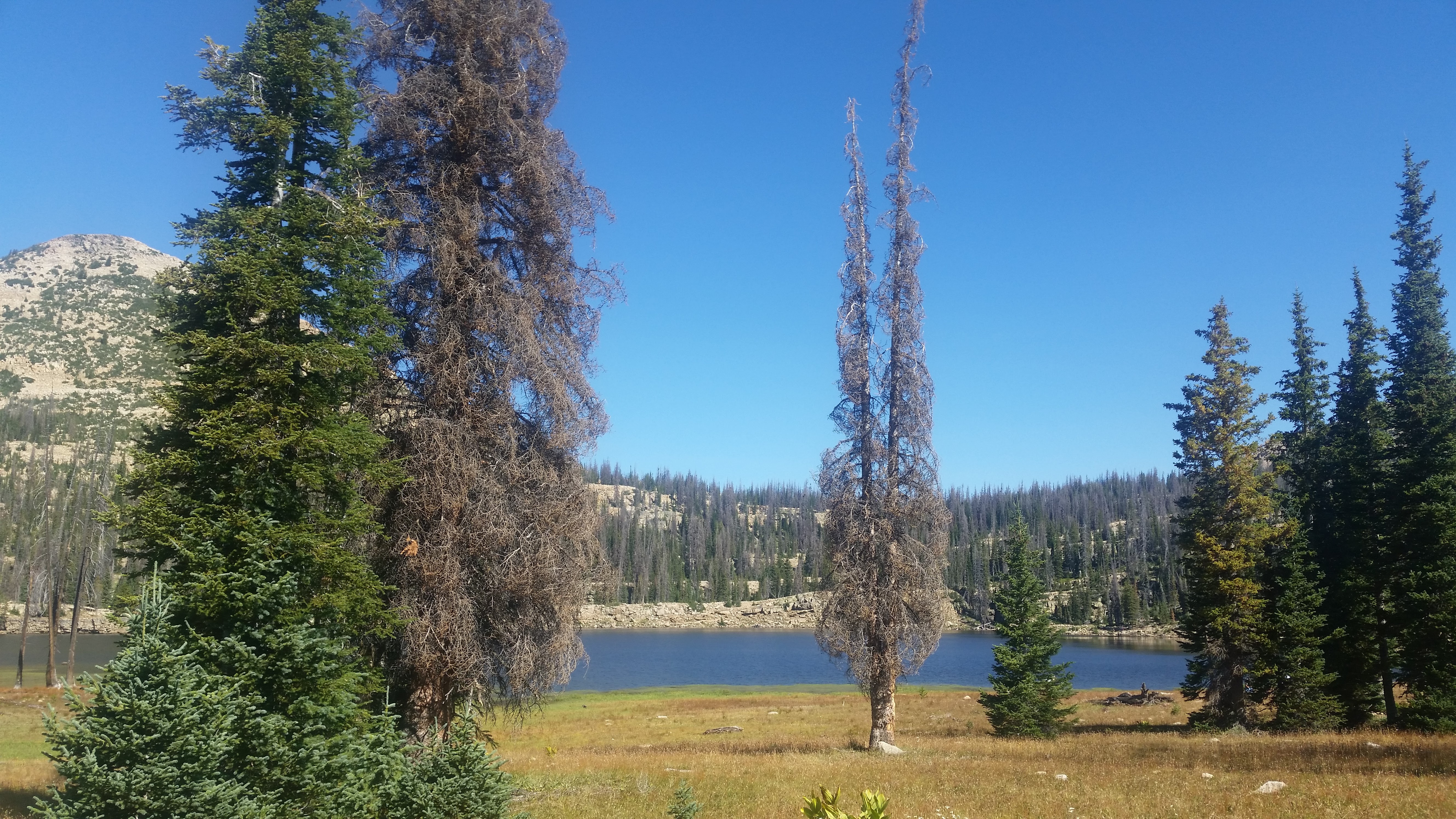 Snowbird – Utah · 2016